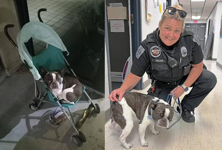 Nurse Who Abandoned Dog at Pittsburgh Airport to Catch Flight to Mexico ...